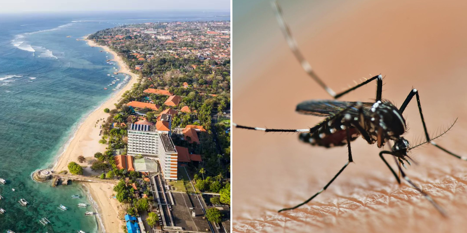 dengue fever in bali