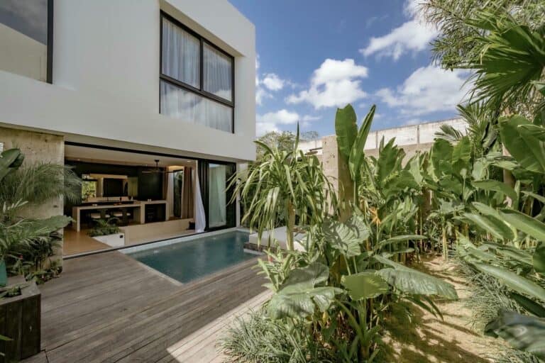 Modern house with pool and tropical garden