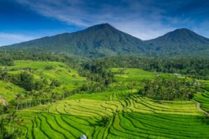 green zone subak jatiluwih