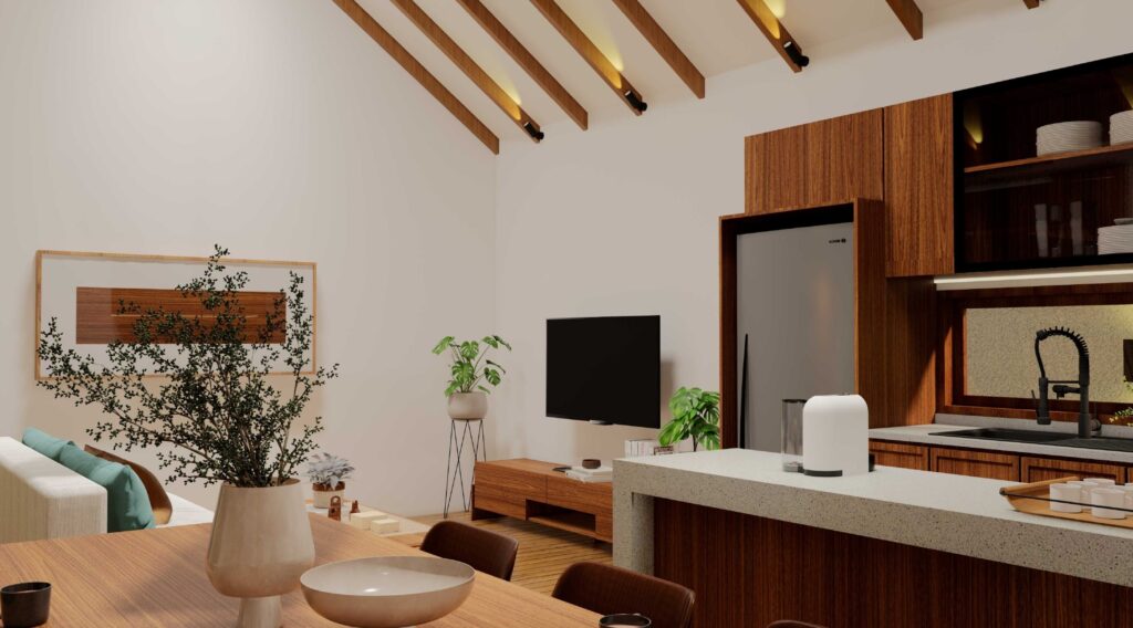 Modern kitchen and living room with plants