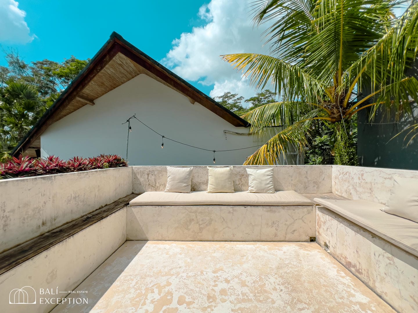 Tropical patio with cushions and palm tree.