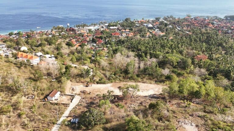 Coastal village with greenery and ocean view
