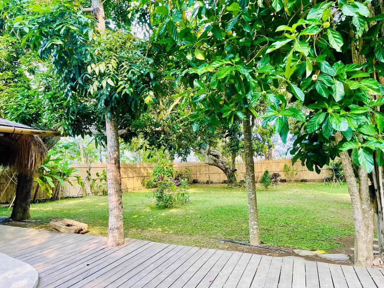 Lush backyard with trees, grass, and wooden deck.