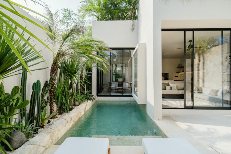 Modern villa courtyard with pool and plants