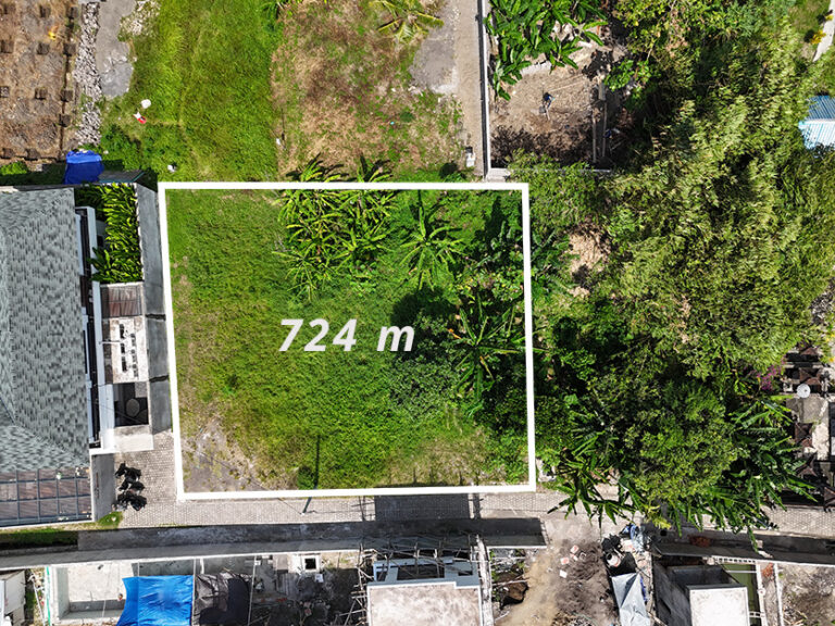 Aerial view of 724 m land plot.