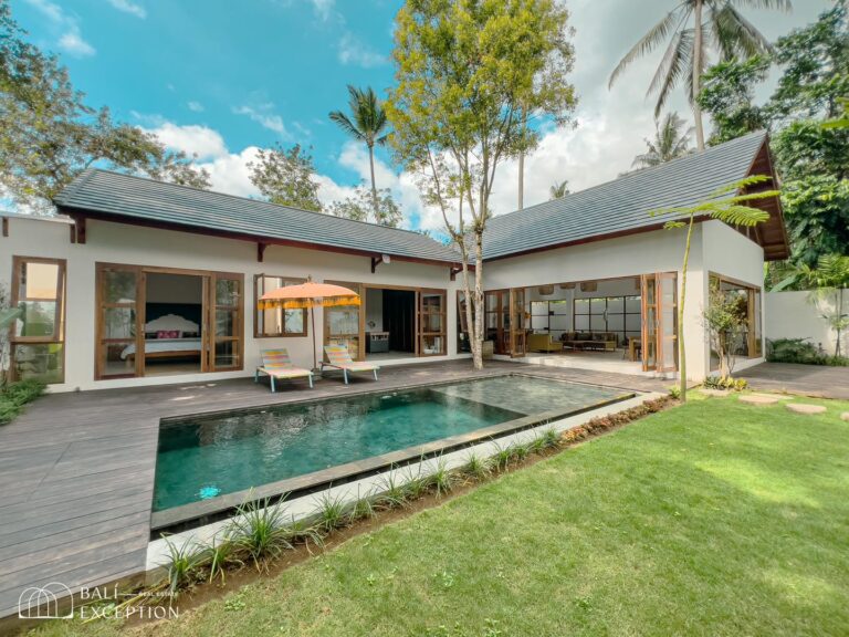 Modern villa with pool and garden