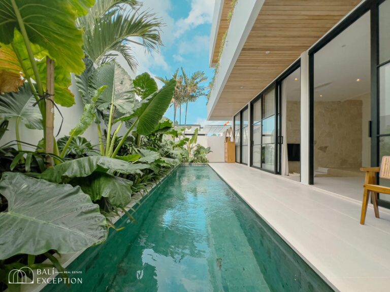 Modern villa with pool and tropical plants