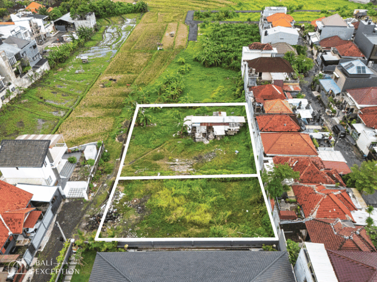 Aerial view of two outlined land plots.