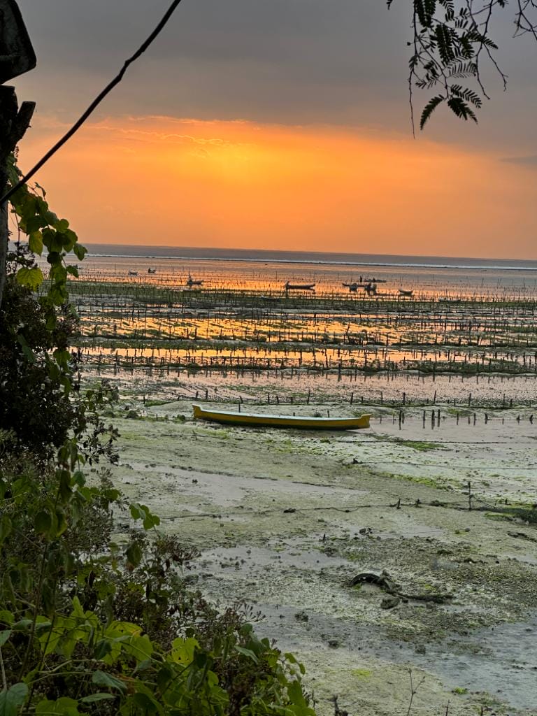 Sunset over seaweed farm with boat in foreground.