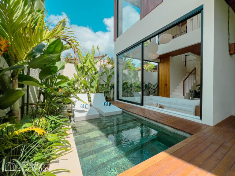 Modern house with pool and tropical plants