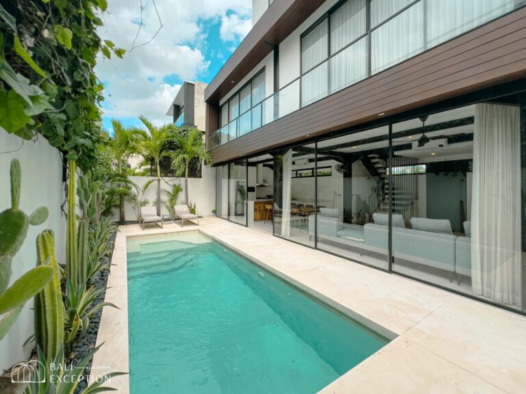 Modern house with swimming pool and patio plants.