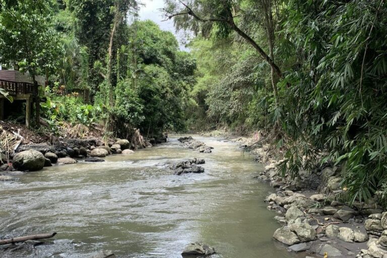 land 17,5 are for sale leasehold in buwit bel 61 (7)