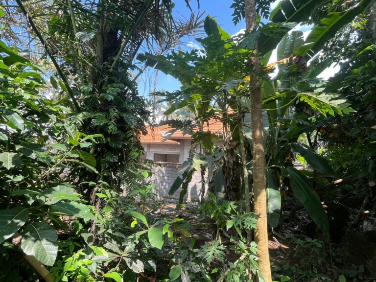 land 2 are for sale freehold in ubud bel 58 (3)