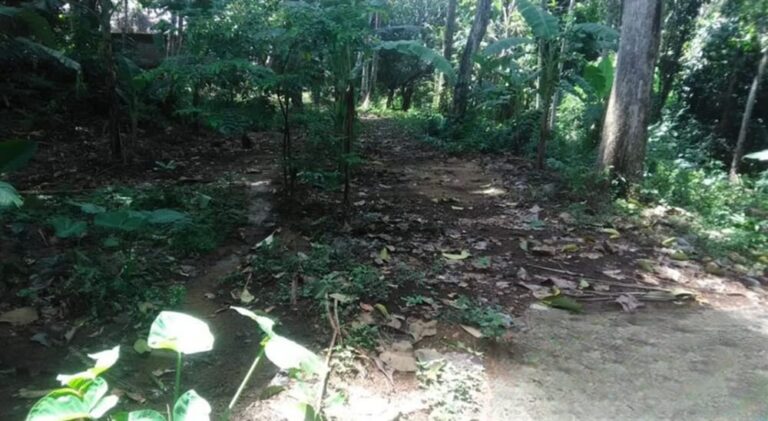 riverside 3050sqm land in cepaka for sale freehold bel 59 (3)