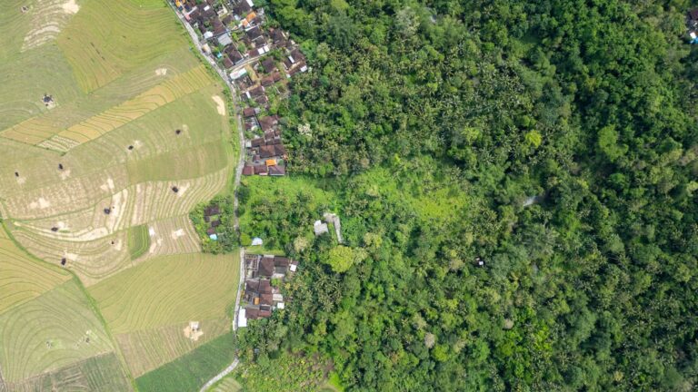 land 11850 sqm for sale freehold in tabanan bel 71 (2)